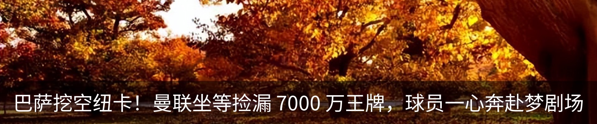 行业资讯